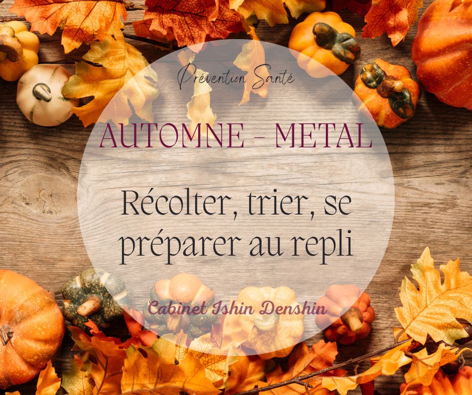 Automne Métal en médecine traditionnelle chinoise : récolter, trier, se préparer au repli - Cabinet Ishin Denshin