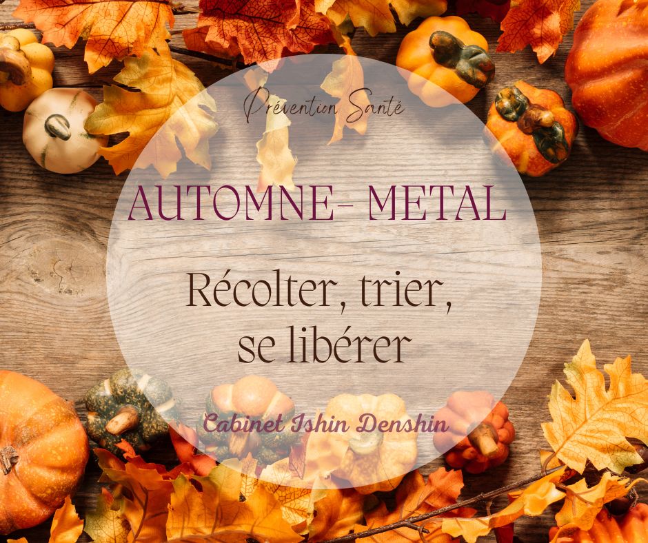 Automne Métal en médecine traditionnelle chinoise : récolter, trier, se libérer - Cabinet Ishin Denshin